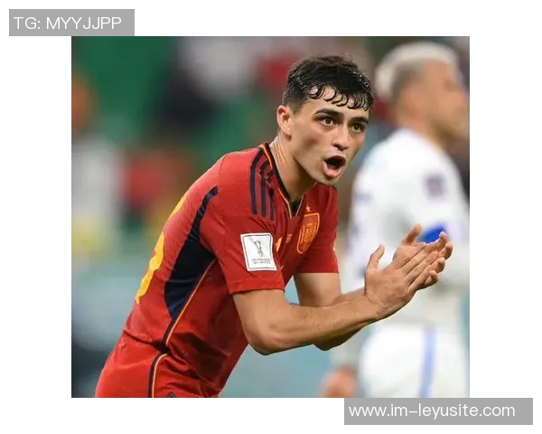 苗原透露泰山外援中卫选择在即更倾向苏超明星布斯里加入球队