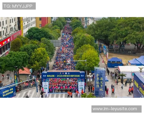 布雷斯特新球场投资遭遇波折俱乐部与政府携手推进项目重启